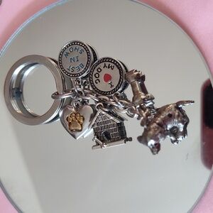 Hound Dog +6 Charms + Keychain & Loop , Bone, House, Heart Best InShow